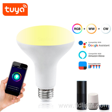 Alexa Tuya Voice Control smart wifi light bulb